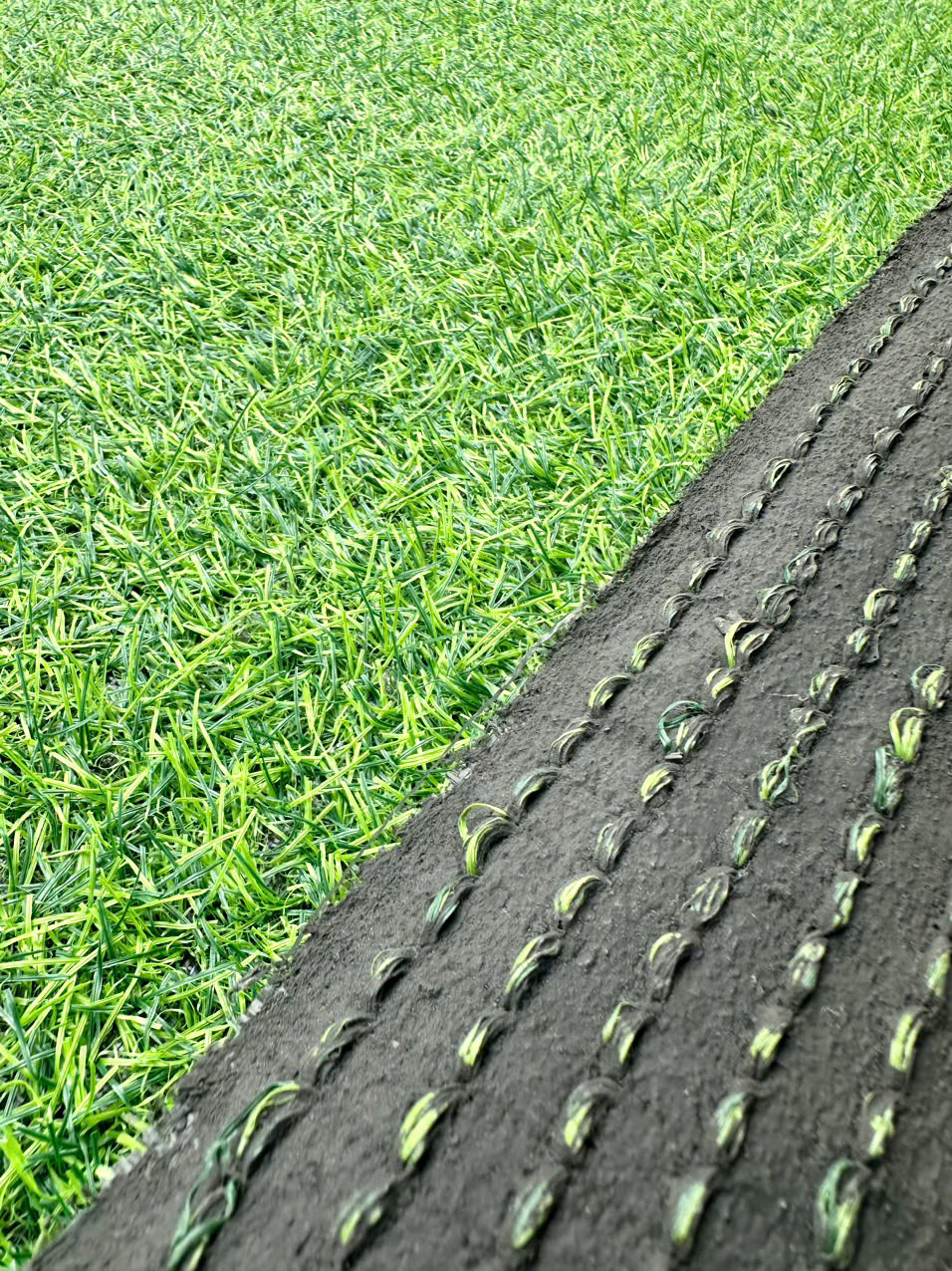 Thảm cỏ nhân tạo giá rẻ (dày 1cm, 2cm, 3cm)