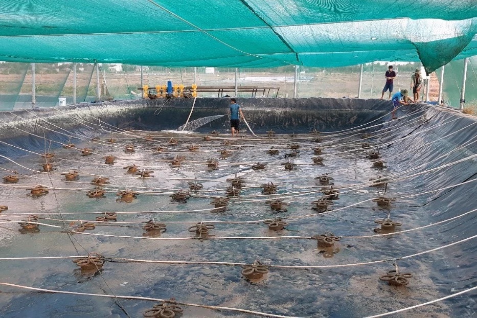 Lưới Nuôi Trồng Thủy Sản Uy Tín Giá Rẻ