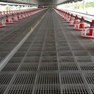 Tấm Nhựa Lót Sàn Chăn Nuôi Gia Súc, Gia Cầm: Giải Pháp Hiệu Quả Cho Nông Nghiệp Hiện Đại