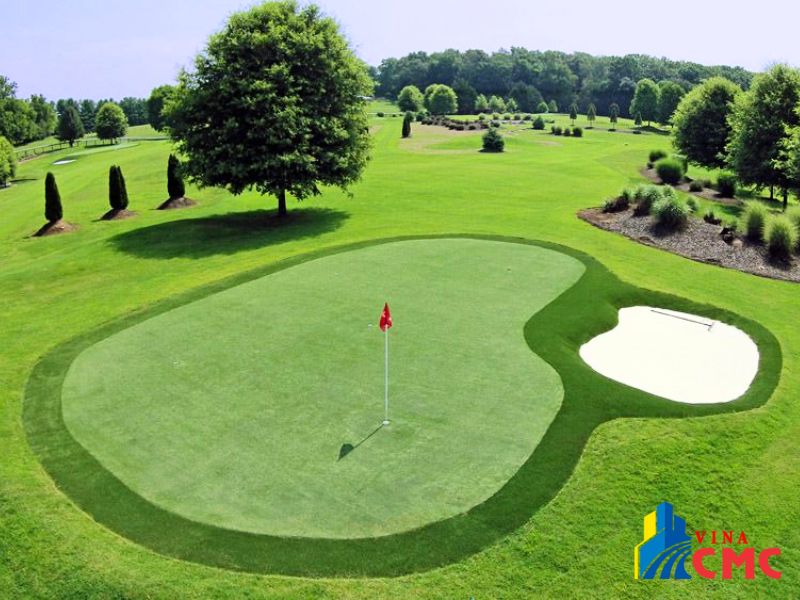 Kinh nghiệm lựa chọn thảm cỏ nhân tạo chất lượng