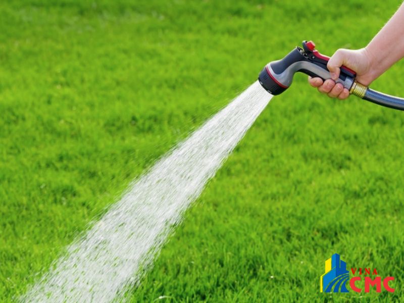 Hướng dẫn vệ sinh và bảo dưỡng thảm cỏ nhân tạo