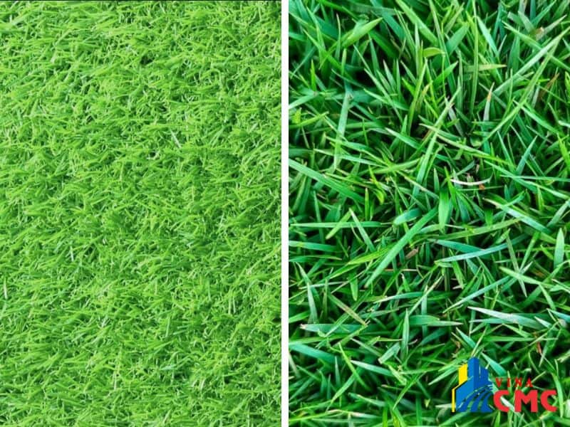 Phân biệt thảm cỏ nhân tạo và cỏ tự nhiên