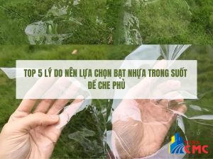 Top 5 Lý Do Nên Lựa Chọn Bạt Nhựa Trong Suốt Để Che Phủ